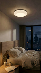 Celestial Crystal Ceiling Light(Crystal Ceiling Light)